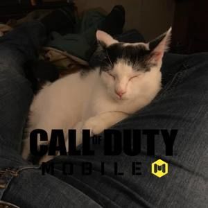 Meet your Posher, Dylan